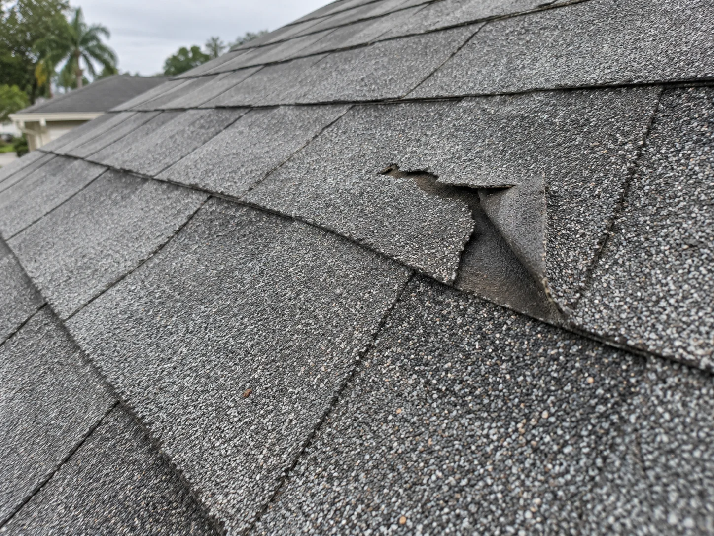 AI-generated example of a shingle torn across its body with its broken corner lifted.